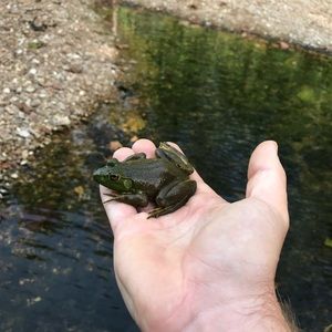 Meet your Posher, Travis